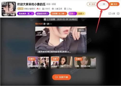 沈阳公会主播爆料视频,揭秘幕后真相与行业乱象